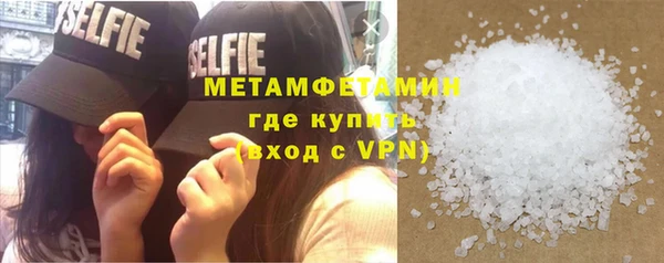 шишки Апатиты